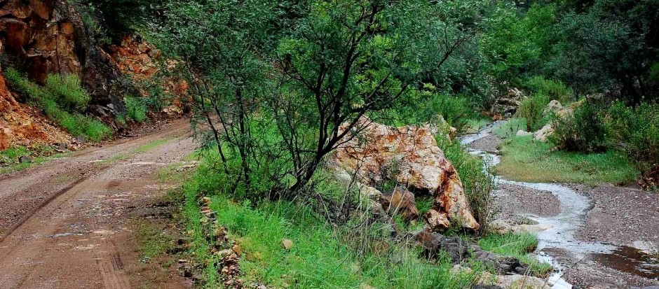 Harshaw Creek Slide