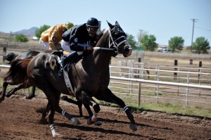 Sonoita, AZ