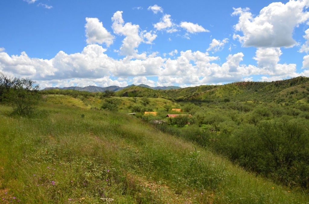 Image result for patagonia bird preserve
